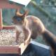 Durbuy chalet 65, Durbuy (Foto 4)