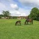 Starvegoose Cottage, Goudhurst (fotografie 7)