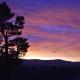 Grantown Caravan Park, Grantown on Spey (fotografie 3)