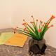 Raday Prime Exclusive Budapest, Budapeszt - Zdjęcie 10