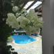 Pereybere Villa Valari with Pool Near Beach, Pereybere