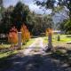Hillview Oak B&B, Lankeys Creek - Fotografie 6