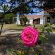 Quinta Reuffurth, Aljezur (photo 10)