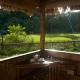 The Forest Elephant - Formerly known as the Flying Elephant, Havelock Island - Foto 9