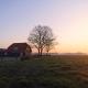 Bed & Breakfast de Vink, Terschuur (foto 2)
