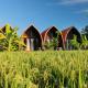 Keramas Surf Camp