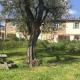Le Molina B&B, Massa e Cozzile (fotografie 5)