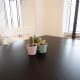 Escamp Apartments, The Hague (photo 9)