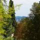 Villa Porta Romana - Family country house in the heart of Florence - Photo 5