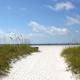 1501 - Gulf Winds St Pete Beach - Fotografie 3