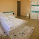 Milan house, Arad - Foto 2