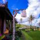 Puri Sunny Camp, Munduk (fotografie 7)