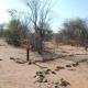 Oppi-Koppi Rest Camp, Kamanjab (photo 7)