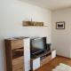 Ferienwohnung App. MOUNTAIN VIEW, Fieberbrunn (photo 9)