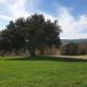 Masia l`Arà, La Baronia de Rialb (фото 5)