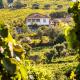 Quinta da Mesquinhata, Lamego (foto 8)