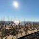 Vivalidays Yolanda, Calella (Foto 4)