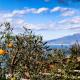Villa il Cacciatore Sorrento - Fotografie 5