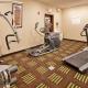 Holiday Inn Express Hotel & Suites St. Charles by IHG, St. Charles - Foto 9