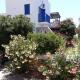 Village house in Paros, Drios