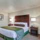 Cobblestone Hotel & Suites Pulaski/Green Bay, Pulaski (Foto 7)