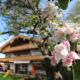 Appartementhaus Schirsner - direkt am See & am Kurpark, Schliersee