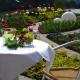 Hotel Hochwald, Bad Liebenzell - Foto 6