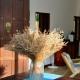 The Aluthgama House, Aluthgama (foto 4)