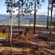 Morro do Vento, Picada Cafe - Fotografie 3