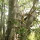 Murchison View Cottage, Gravelotte (foto 10)