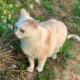 White Cat B&B Jinning - Fotografie 7