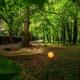 Summerhill House Hotel, Enniskerry (fotografie 4)