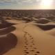 Grand Sud, la maison de sable, Douz (photo 8)