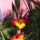 Ocean View Cottage, Ponta do Pargo - Photo 8