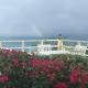 Ocean View Villas, Jost Van Dyke (Foto 9)