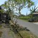 Eko Homestay, Sidemen (foto 10)