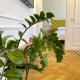 Glamour apartment, Liepāja (photo 3)
