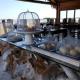 Vila Ybytu Eco Resort, イタレマ - 写真 8