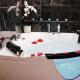 Pantheon Amazing Jacuzzi Suite - Top Collection, Roma - Foto 6