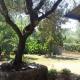 Loft con giardino in zona Appia Antica, Roma - Foto 4