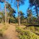 Cottage Hazenhorst - paradijs aan het bos, IJhorst (zdjęcie 7)