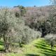 Casa Costanza, Larciano (Foto 4)