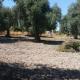 Serra Niedda Resort & Agriturismo, Sorso - Foto 9