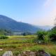 Vamoose Sampang, Mangpu - Foto 7