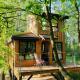 Węgiełek Treehouse, Kazimierz Dolny - Fotografie 9
