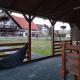 Pensiunea Marceluca, Hodoşa - 写真 4