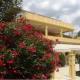 Guest House Sunce