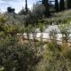 Stone House in olive grove Tolo - Foto 9