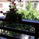 Casa Elena Eselnita, Eşelniţa - Fotografie 5