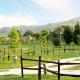 Cabañas Colinas Serranas, Tandil (fotografie 9)
